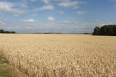 de Chambors à Chaumont